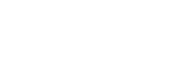The Newtons Laboratory